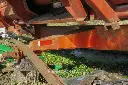 Sin título-7648.webp