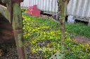 Sin título-8575.webp