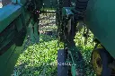 Sin título-7831.webp