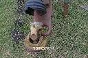 Sin título-986.webp