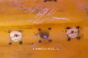 Sin título-7901.webp
