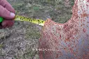 Sin título-8125.webp