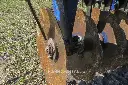 Sin título-8773.webp