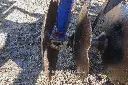 Sin título-8830.webp