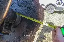 Sin título-8845.webp