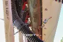Sin título-3041.webp