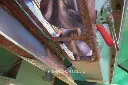 Sin título-9039.webp