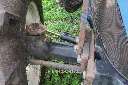 Sin título-9284.webp