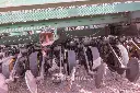Sin título-9551.webp
