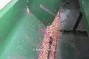 Sin título-9574.webp
