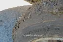 Sin título-9939.webp