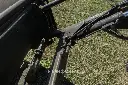 Sin título-9786.webp