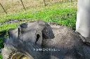 Sin título-9878.webp