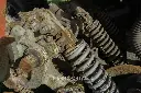 Sin título-9626.webp