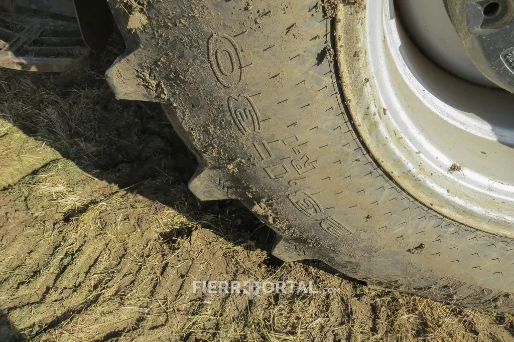 Sin título-10181.webp