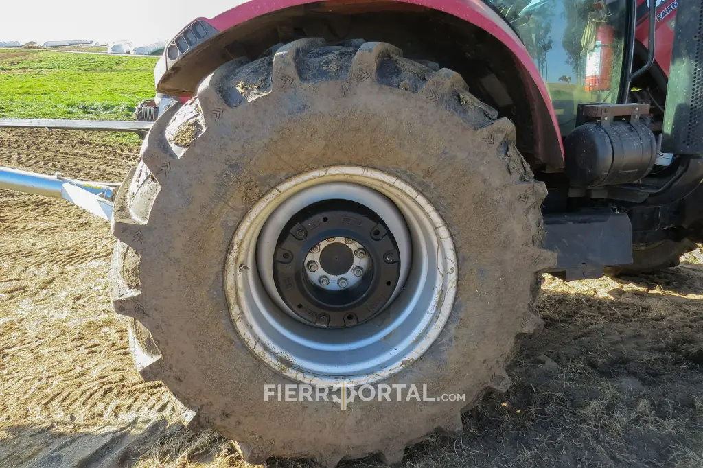 Sin título-10192.webp