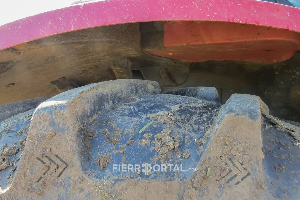 Sin título-10193.webp