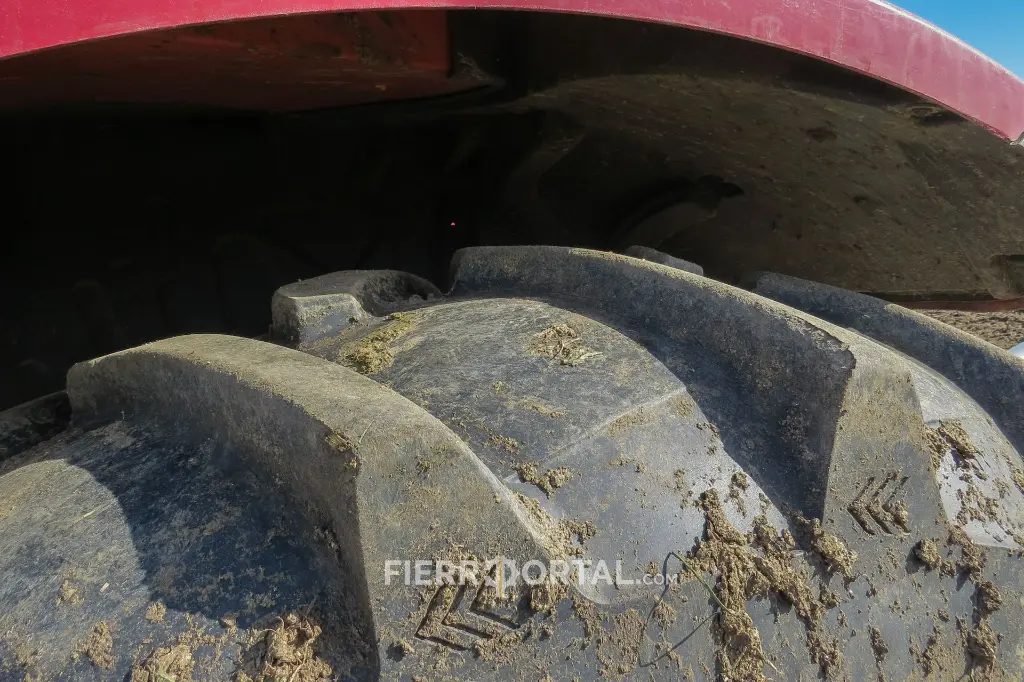 Sin título-10180.webp