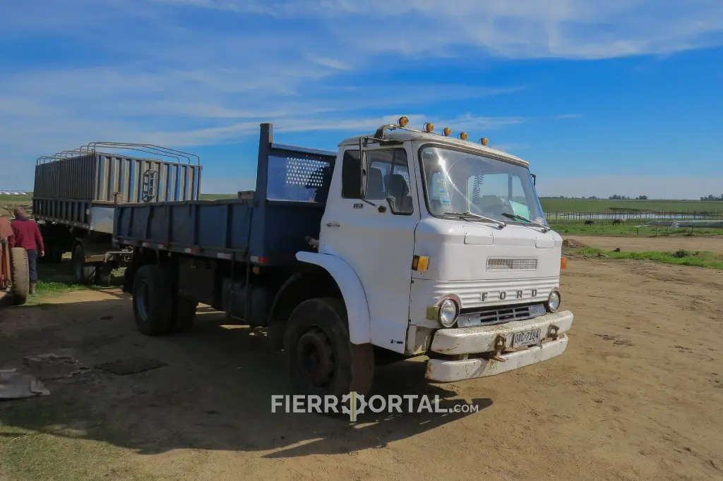 Sin título-10299.webp