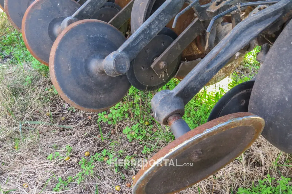 Sin título-10483.webp