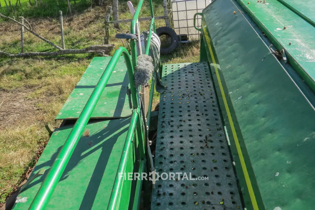 Sin título-10493.webp