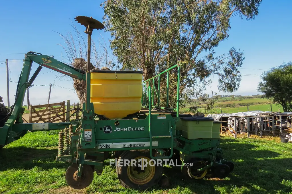 Sin título-10660.webp