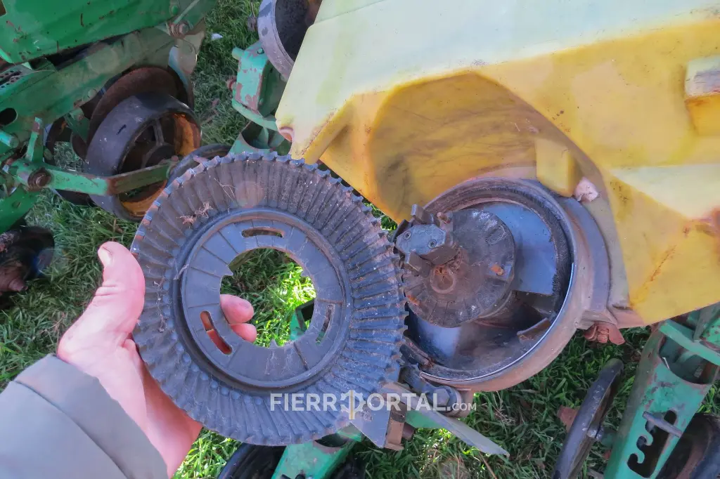 Sin título-10703.webp