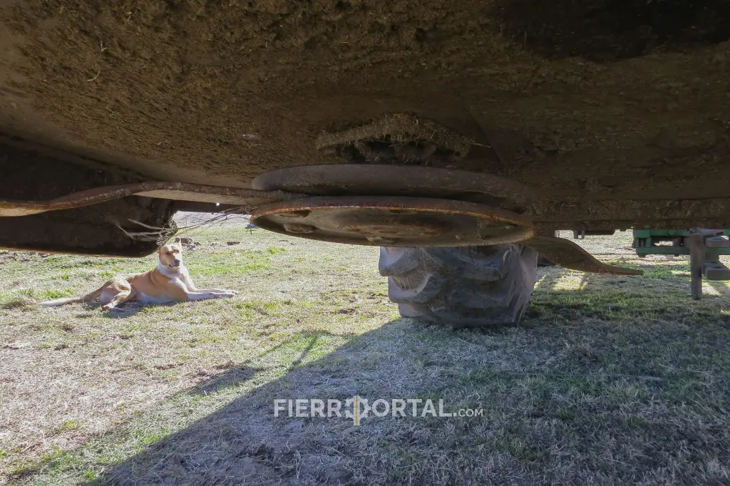 Sin título-10751.webp