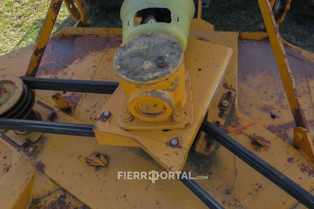 Sin título-10735.webp