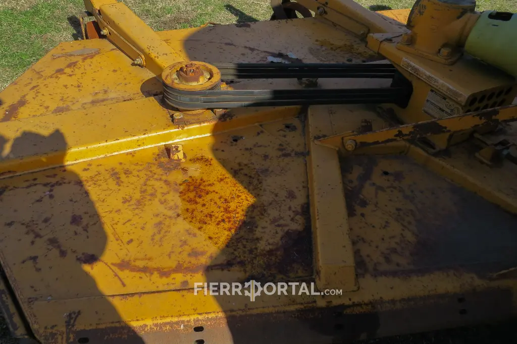 Sin título-10740.webp