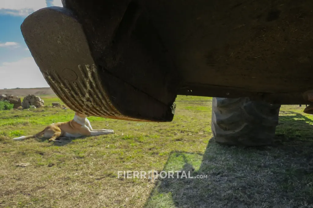 Sin título-10758.webp