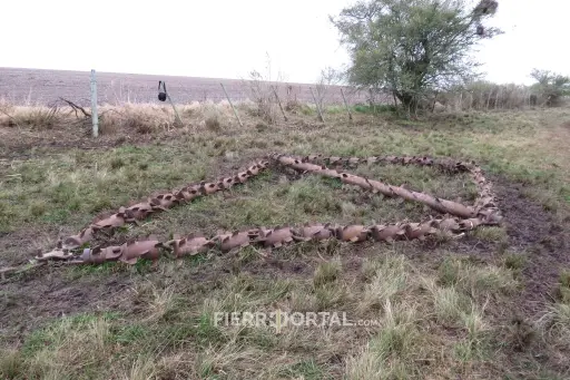 [056-001] Rombo colonizador 4 mts